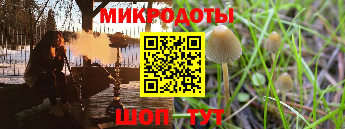 Псилоцибиновые грибы Magic Shrooms Электросталь